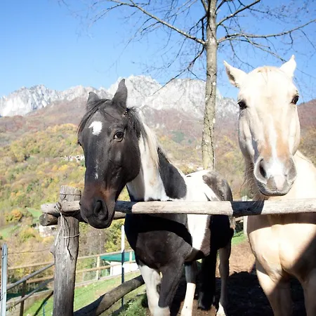 L'angolo Di Paradiso Bed & Breakfast *