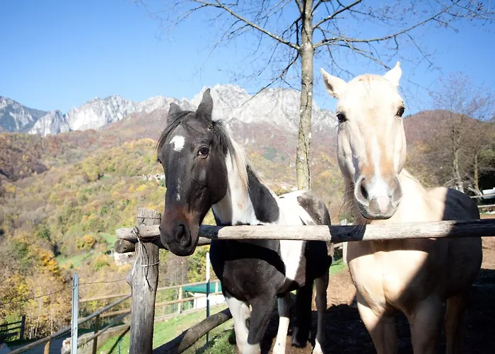 L'angolo Di Paradiso Bed & Breakfast 3*